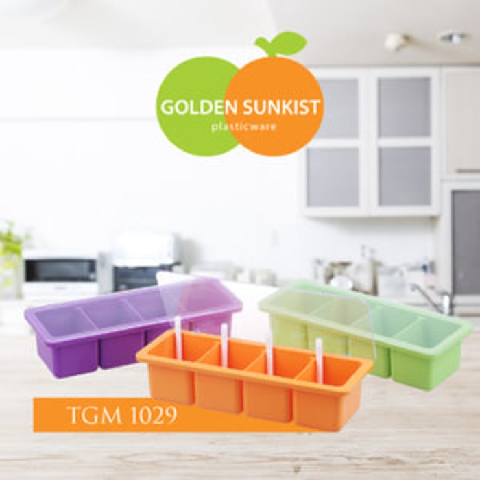 TGB 1029 Tempat Garam