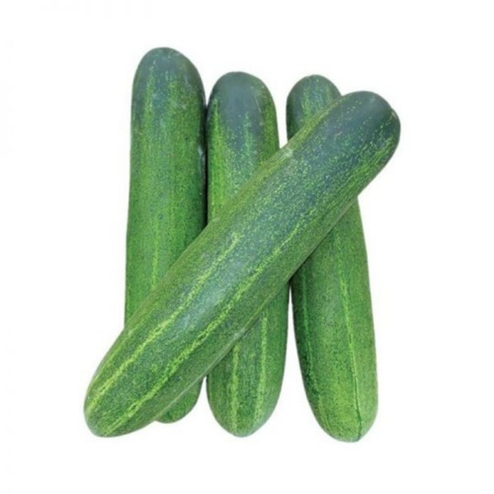 TIMUN 