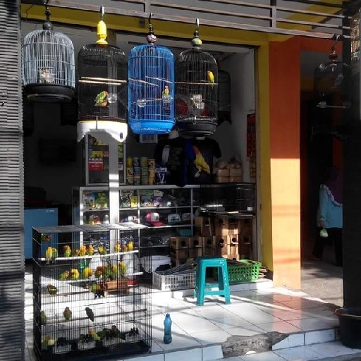 TOKO PAKAN BURUNG Jangkrik Miled kenari seed Pokpan Ulat