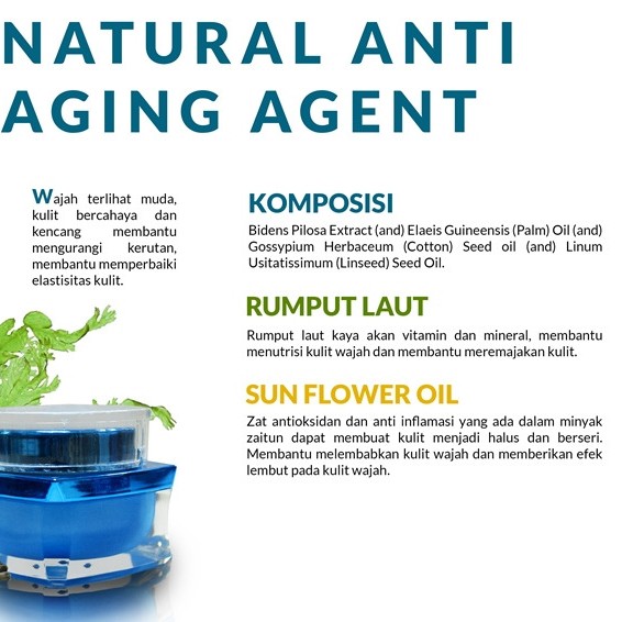 TOSCA sozo Kosmetik Shop 4