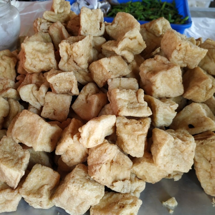 Tahu Biasa