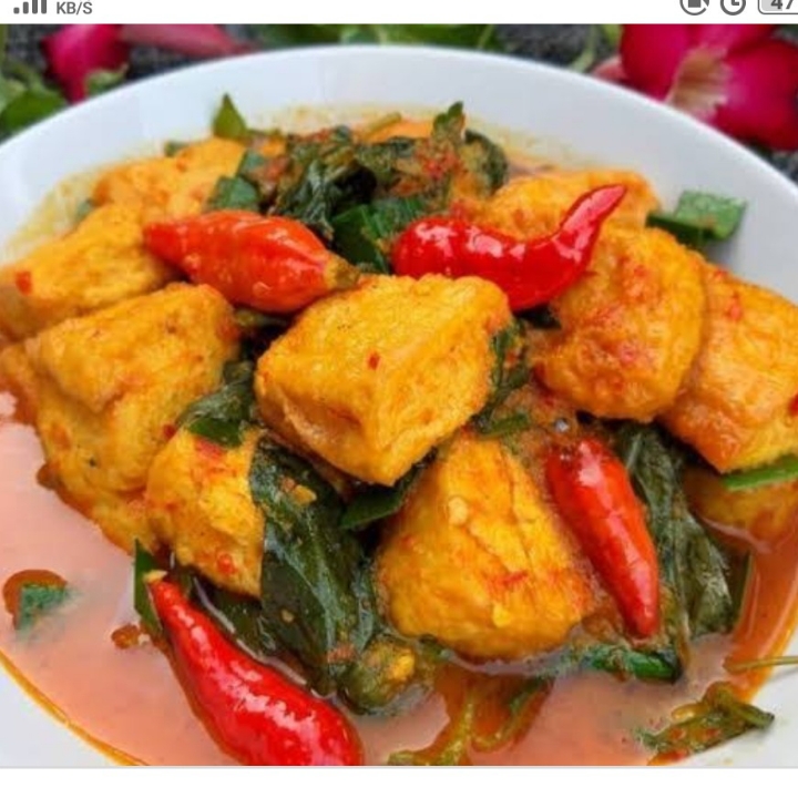 Tahu Rendang