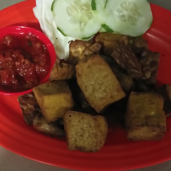 Tahu Tempe