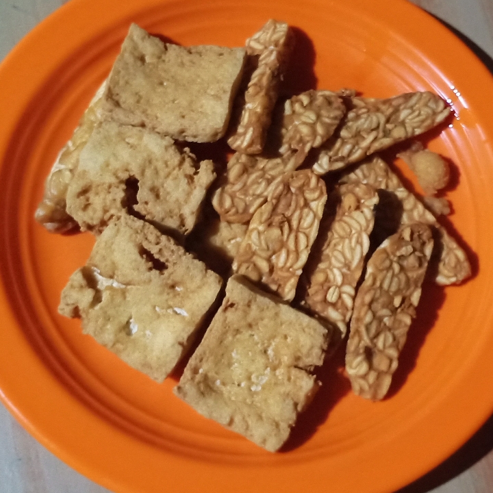 Tahu tempe