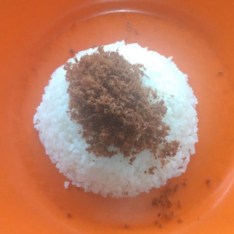 Tambahan Nasi