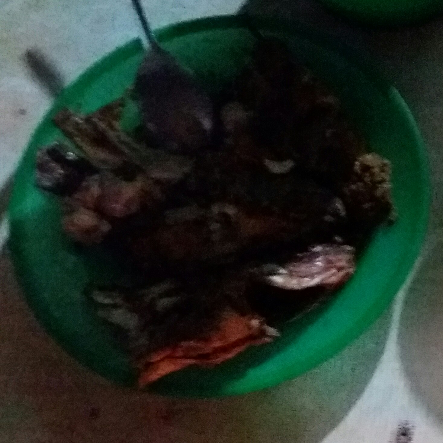 Tambul