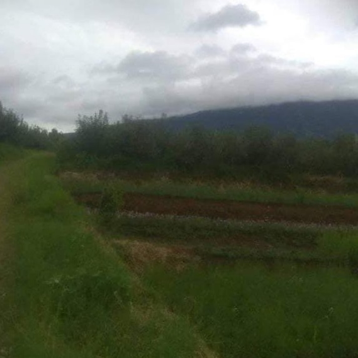 Tanah kota Batu kebun durian Bisa untuk Rumah 2