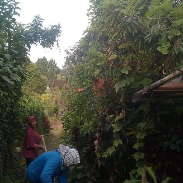 Tanah kota Batu kebun durian Bisa untuk Rumah 3