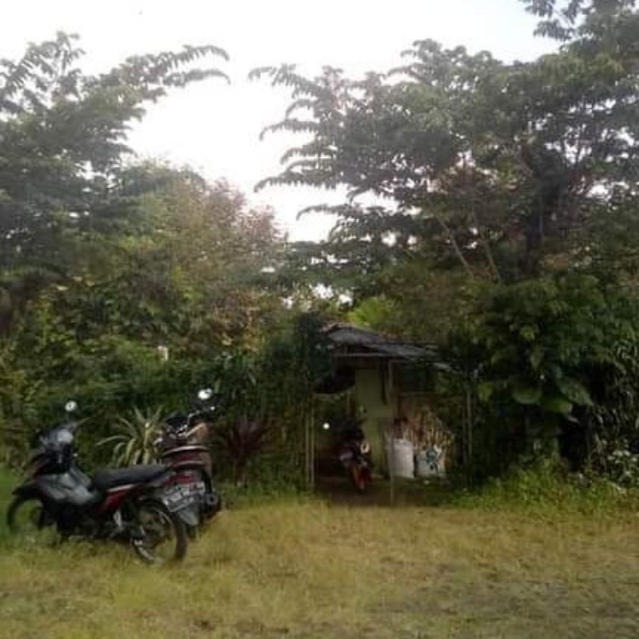 Tanah kota Batu kebun durian Bisa untuk Rumah 4