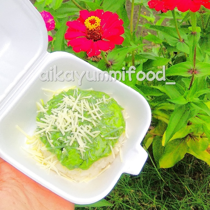 Tansu Greentea Keju