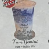 Taro Gemini