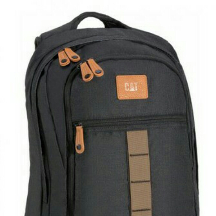 Tas Cat