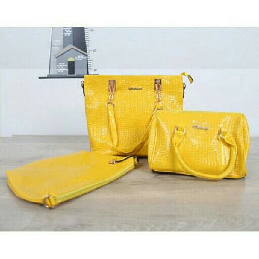 Tas Glossy 3in1 Import