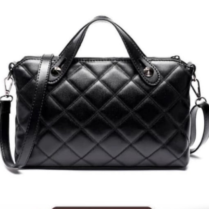 Tas Import Milea Paris  4