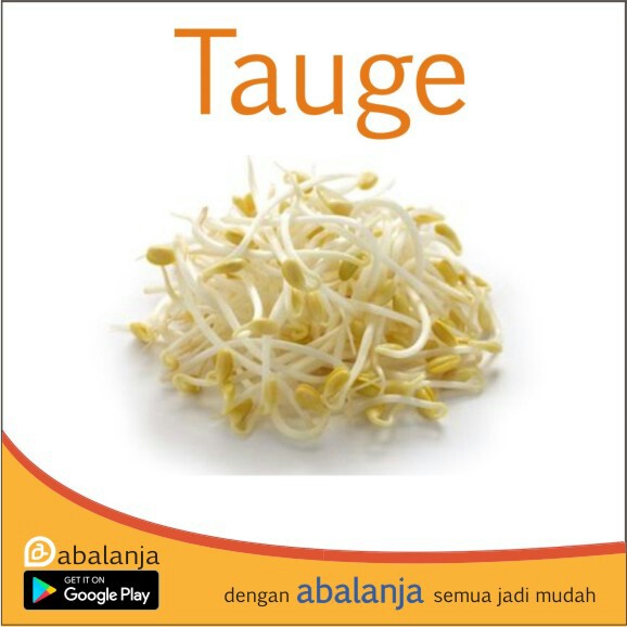 Tauge 1kg