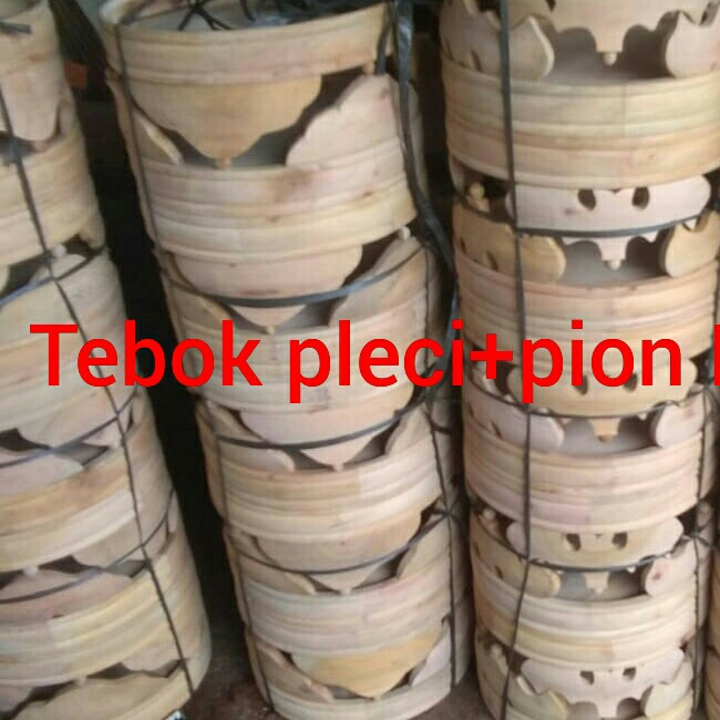 Tebok Pleci Pion