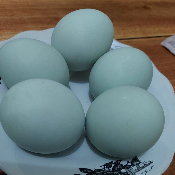 Telor Asin 