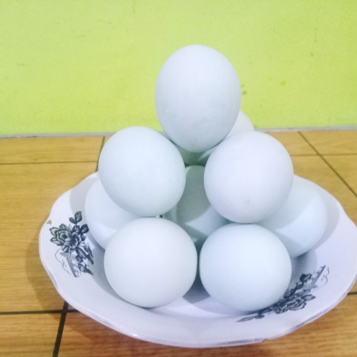 Telor Asin