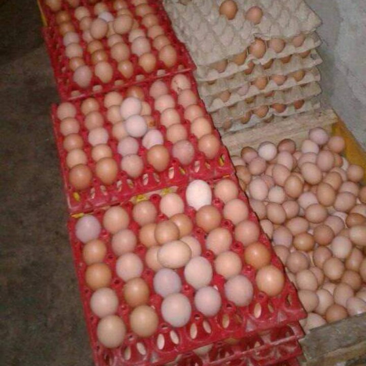 Telor Ayam Ras 