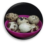 Telor Puyuh