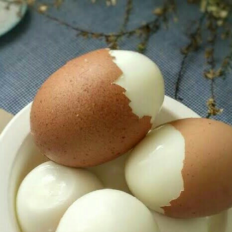 Telor Rebus