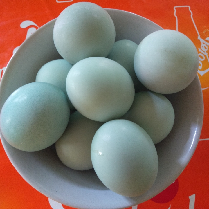 Telor asin 