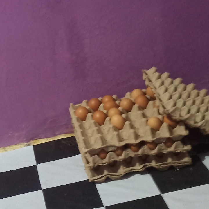 Telur