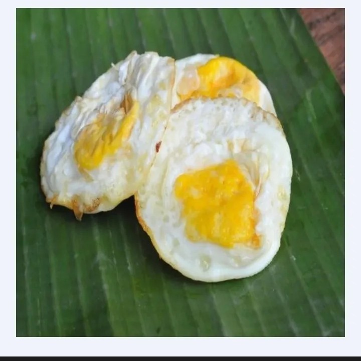 Telur