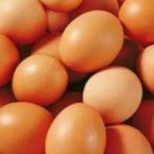 Telur 1kg
