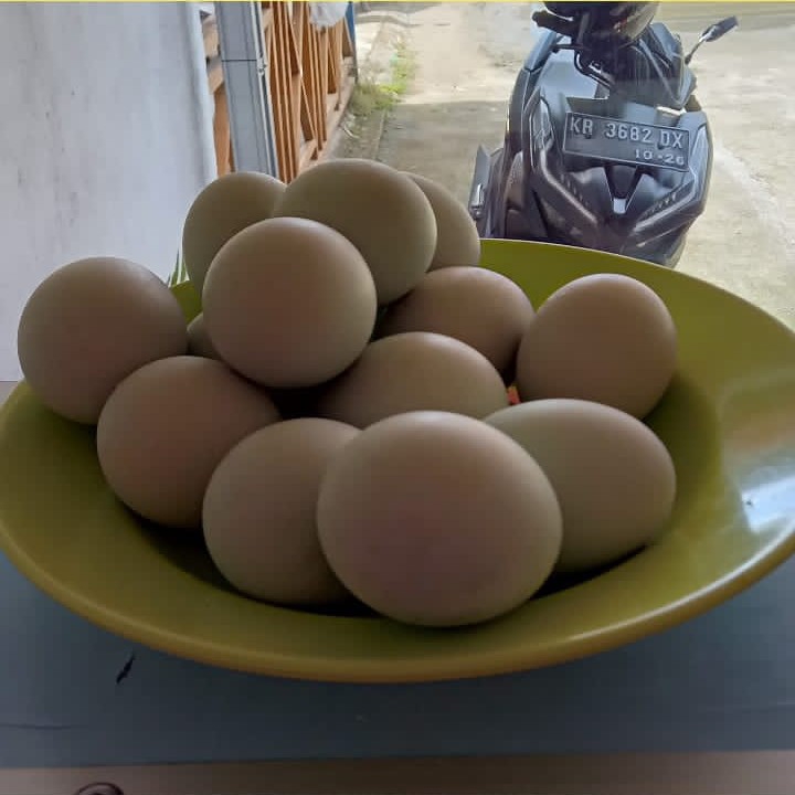 Telur Asin