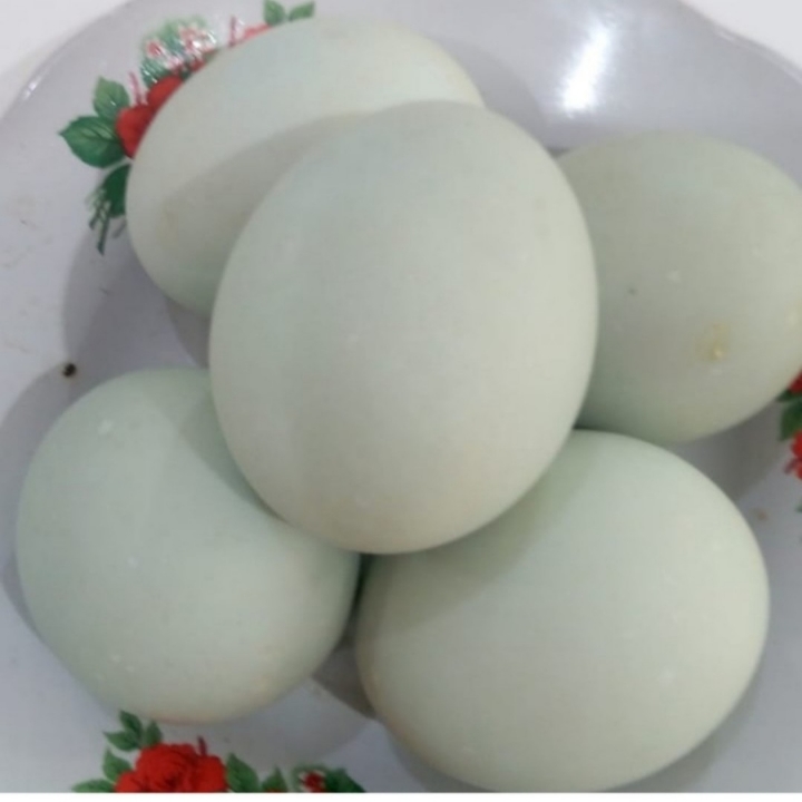 Telur Asin