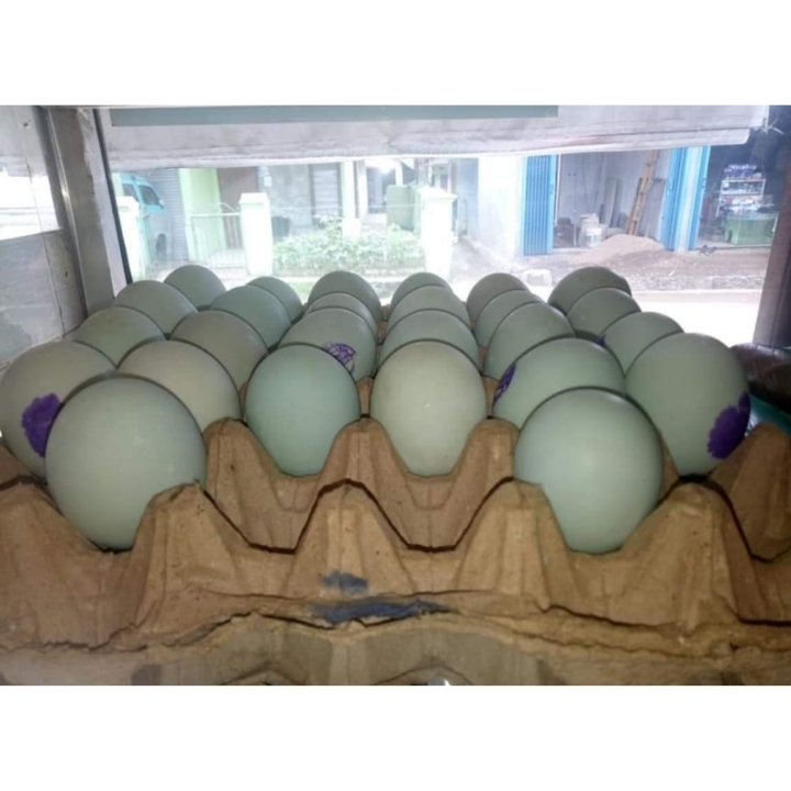 Telur Asin