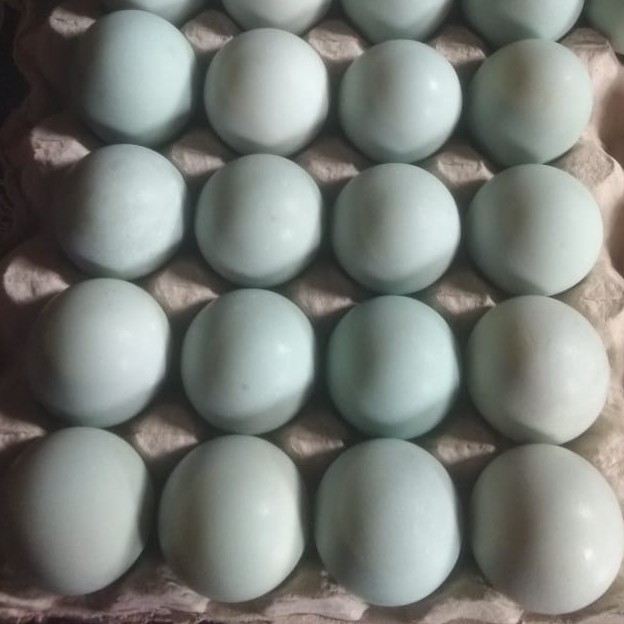 Telur Asin