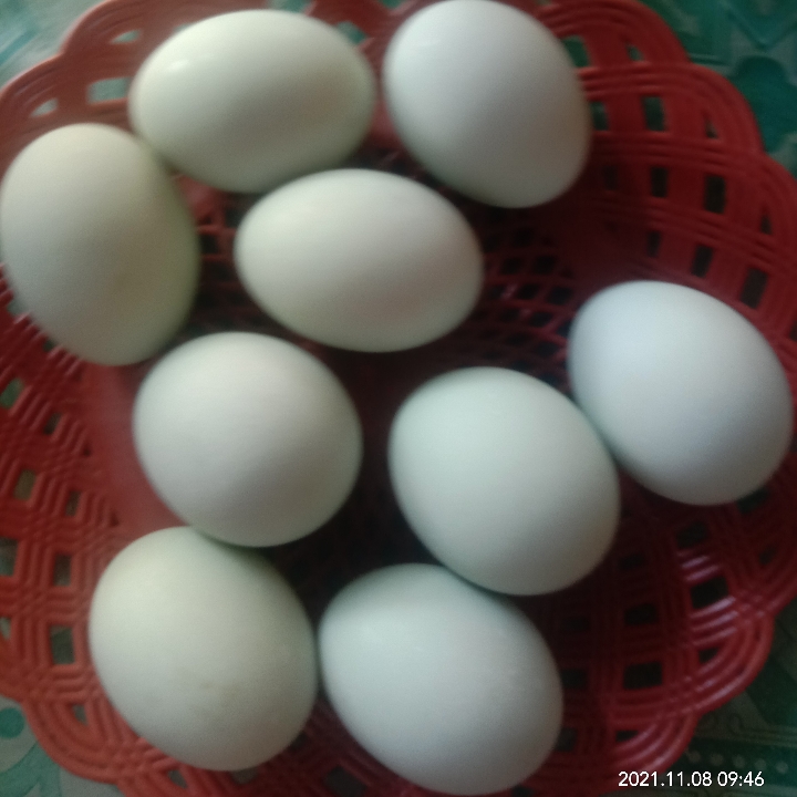 Telur Asin