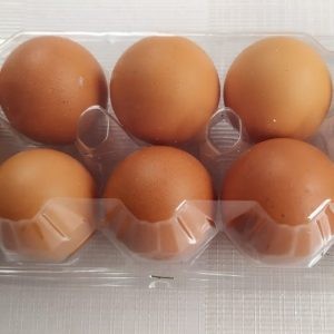 Telur Ayam