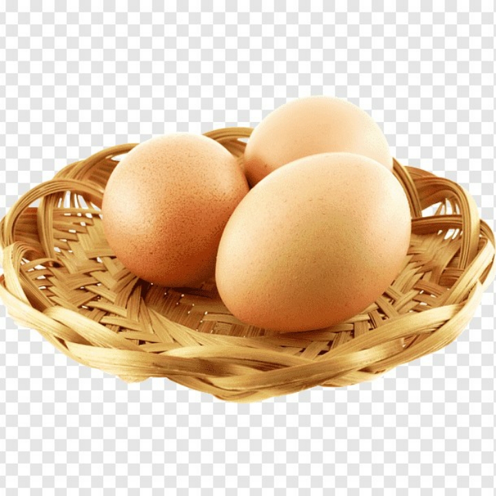 Telur Ayam