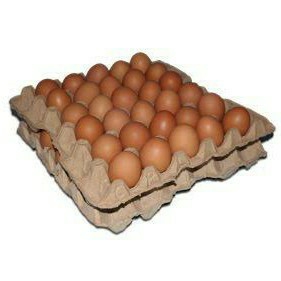 Telur Ayam 1 Piring