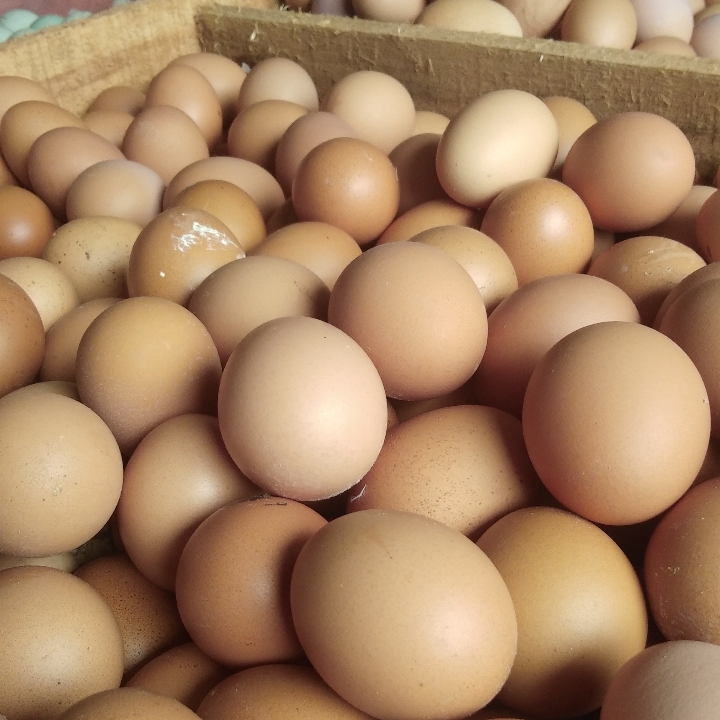 Telur Ayam 1Kg