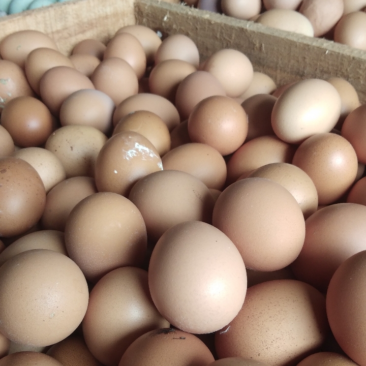 Telur Ayam 1Kg