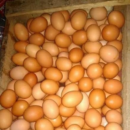 Telur Ayam 3