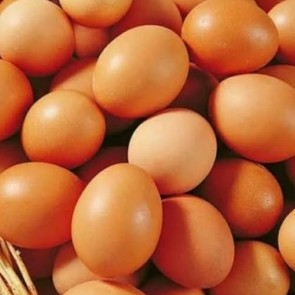 Setengah Pack Telur Ayam Beras