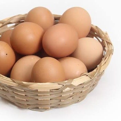 Telur Ayam Broiler