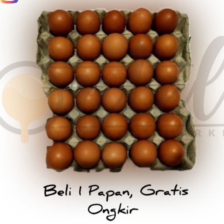 Telur Ayam Eropa 3