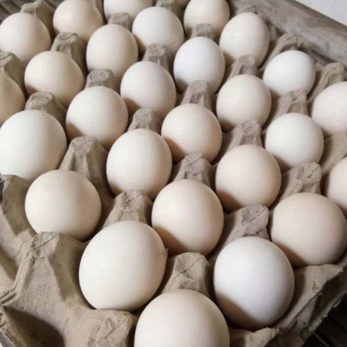 Telur Ayam Kampung
