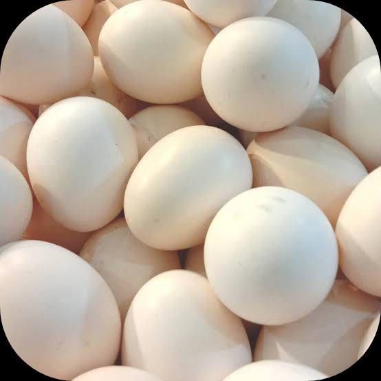 Telur Ayam Kampung