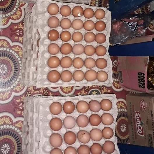 Telur Ayam Lokal