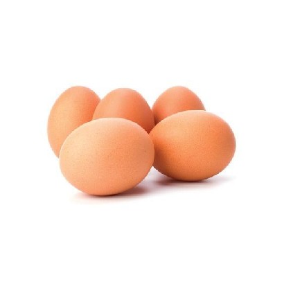 Telur Ayam Ras