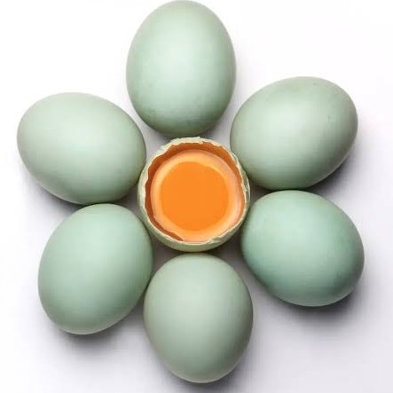 Telur Bebek
