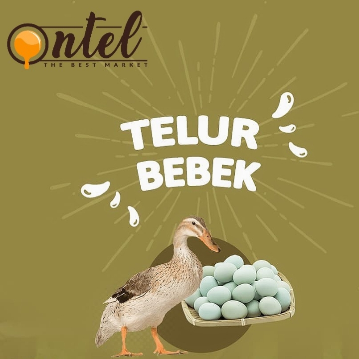 Telur Bebek