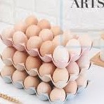 Telur Biasa